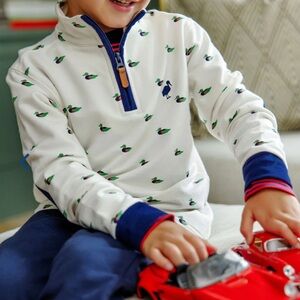 NWT TBBC Hayword Half Zip